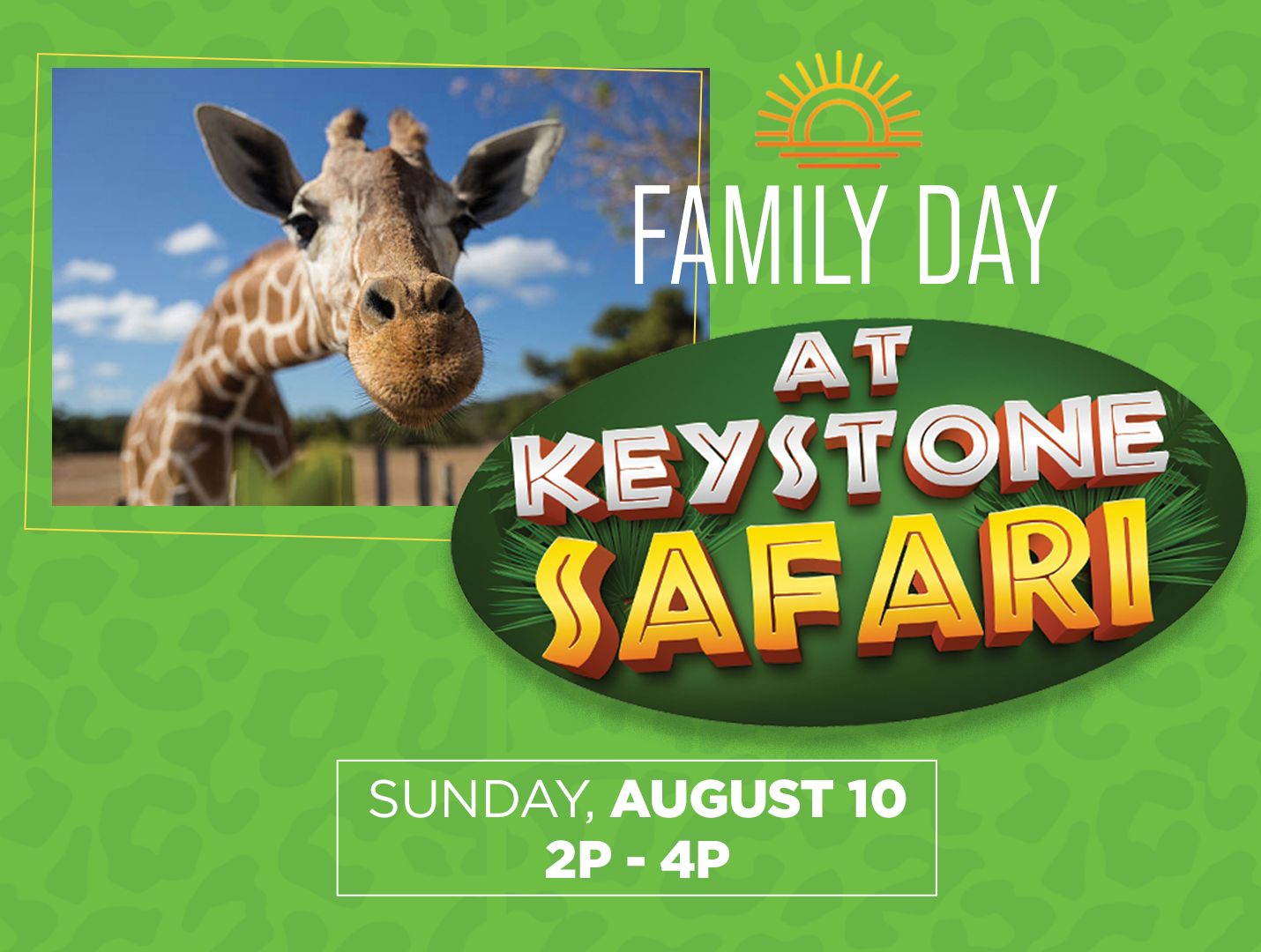 Family Day at Keystone Safari